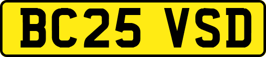 BC25VSD