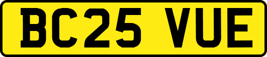 BC25VUE