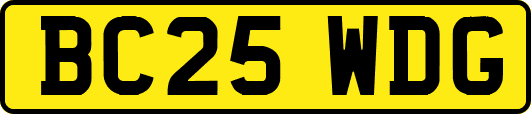 BC25WDG