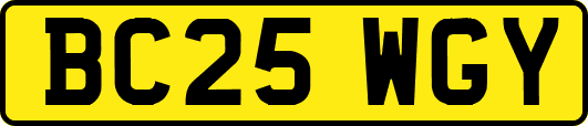 BC25WGY