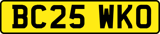 BC25WKO