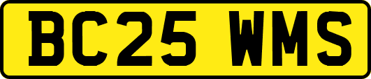 BC25WMS