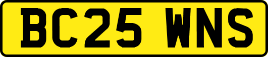 BC25WNS