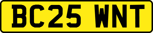 BC25WNT