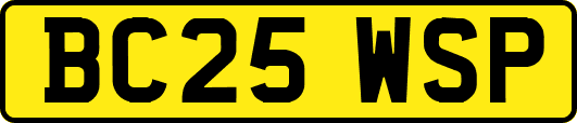 BC25WSP