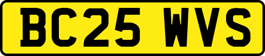 BC25WVS