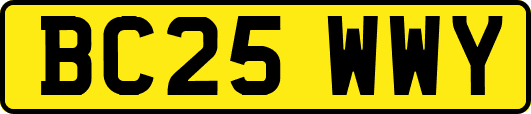 BC25WWY