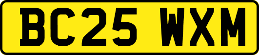 BC25WXM