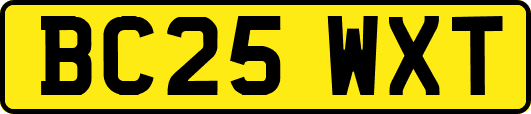 BC25WXT