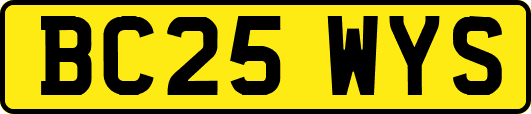 BC25WYS