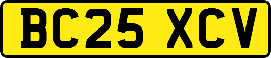 BC25XCV