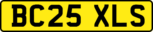 BC25XLS