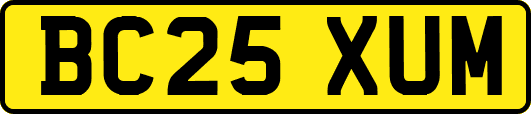 BC25XUM
