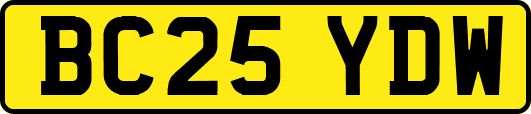 BC25YDW