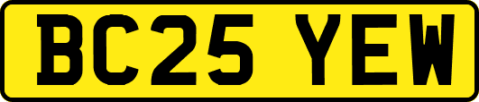 BC25YEW