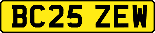 BC25ZEW