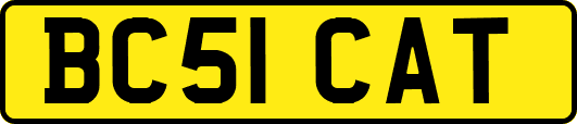 BC51CAT