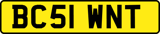 BC51WNT