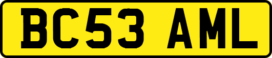 BC53AML