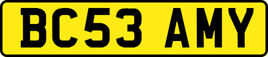 BC53AMY