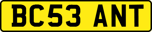 BC53ANT