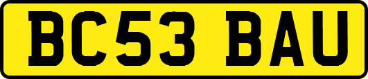 BC53BAU