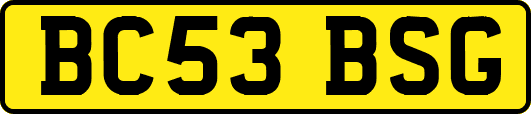 BC53BSG
