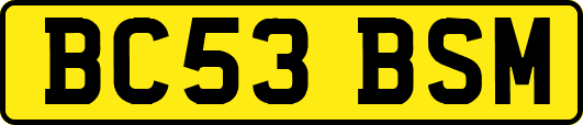 BC53BSM