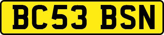 BC53BSN