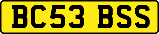 BC53BSS