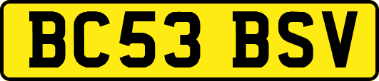 BC53BSV