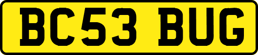 BC53BUG