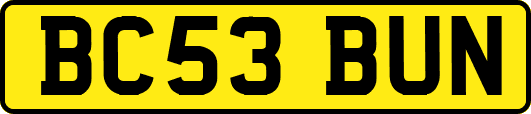 BC53BUN
