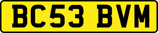 BC53BVM