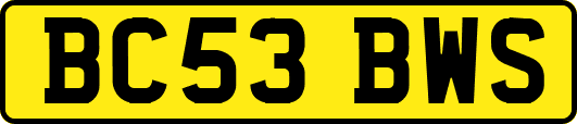 BC53BWS