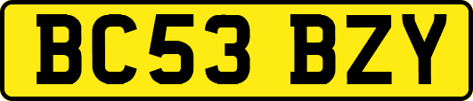 BC53BZY