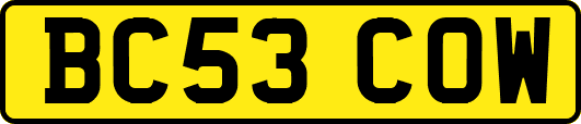 BC53COW