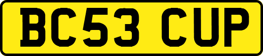 BC53CUP