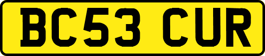 BC53CUR