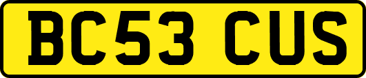 BC53CUS