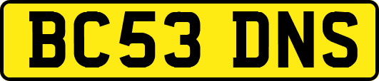BC53DNS