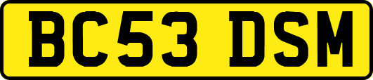 BC53DSM