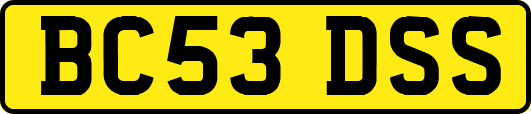 BC53DSS