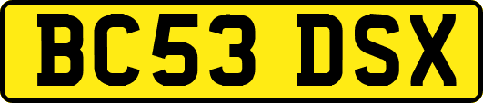 BC53DSX