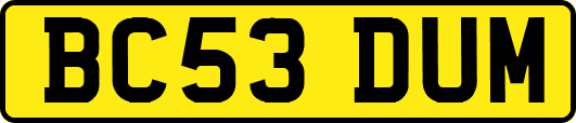 BC53DUM