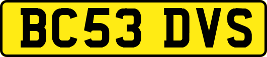 BC53DVS