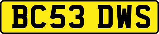 BC53DWS