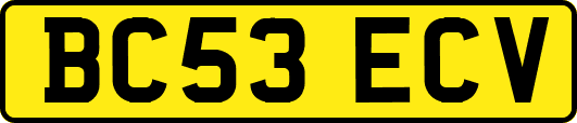 BC53ECV