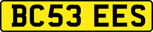 BC53EES