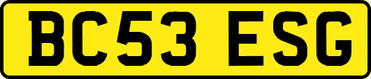 BC53ESG